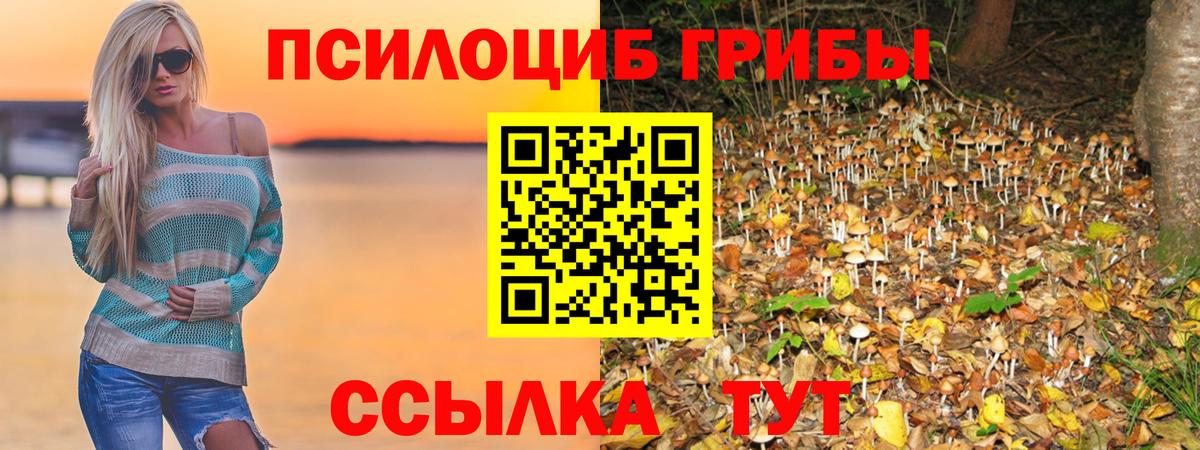Вятские Поляны  ГАШИШ  КОКАИН  Вход с VPN  A PVP СОЛЬ   Марихуана  Мефедрон  