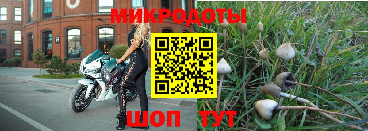 Галлюциногенные грибы ЛСД Вятские Поляны